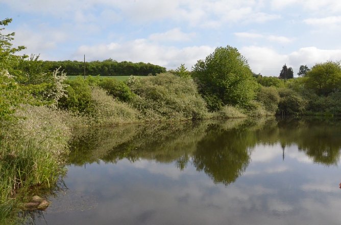 Frühjahrsputz am Rödersee (Foto: Helmut Michel) Frühjahrsputz am Rödersee (Foto: Helmut Michel)