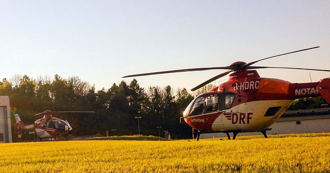 Zweimal (Foto: N. Jahn) Zweimal (Foto: N. Jahn)