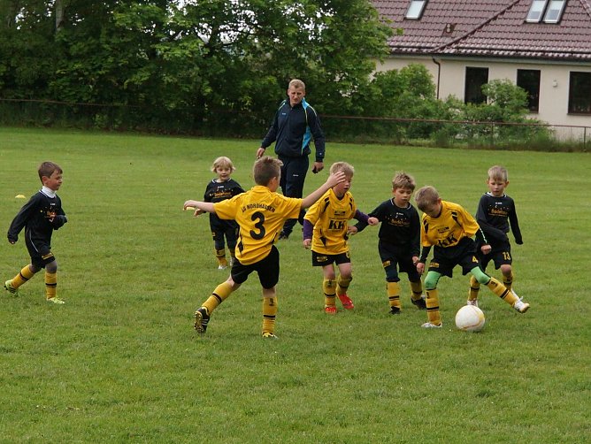 Turnier gewonnen (Foto: Martina Nebelung) Turnier gewonnen (Foto: Martina Nebelung)