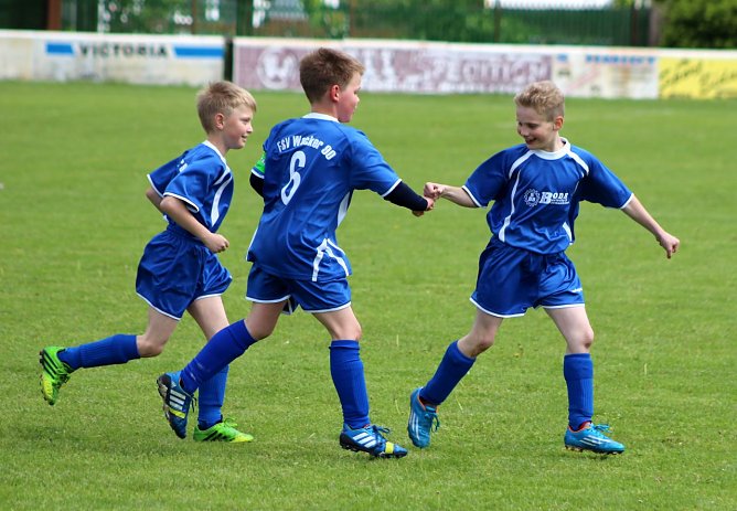 Wacker Nachwuchs im Einsatz (Foto: Michael Liedtke) Wacker Nachwuchs im Einsatz (Foto: Michael Liedtke)