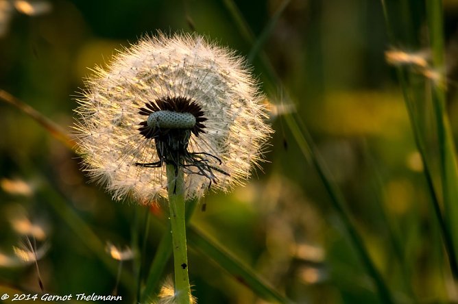 Wetter-Bild (Foto: Gernot Thelemann) Wetter-Bild (Foto: Gernot Thelemann)