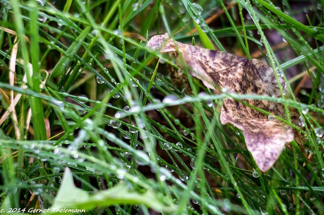Wetter-Bild (Foto: Gernot Thelemann) Wetter-Bild (Foto: Gernot Thelemann)