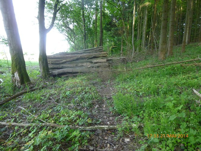 Gelagertes Holz auf dem Karstwanderweg (Foto: Bodo Schwarzberg)
