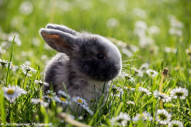 Wetterbild (Foto: Gernot Thelemann) Wetterbild (Foto: Gernot Thelemann)