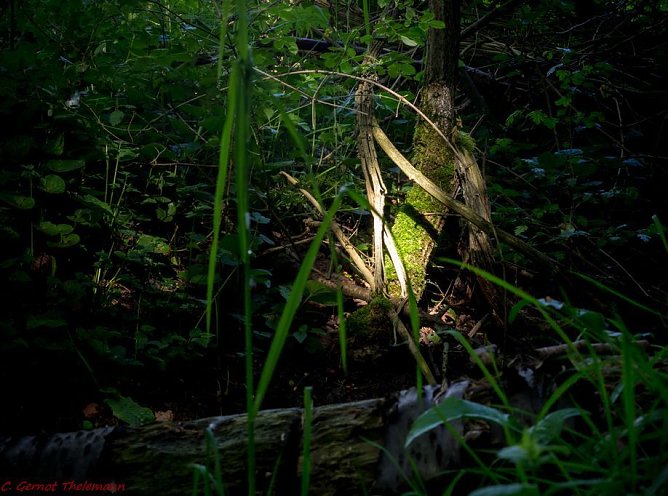 Wetter-Bild (Foto: Gernot Thelemann)