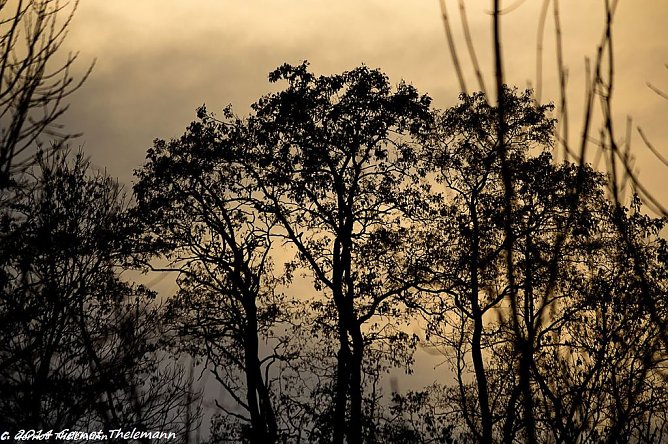 Wetterbild (Foto: Gernot Thelemann)