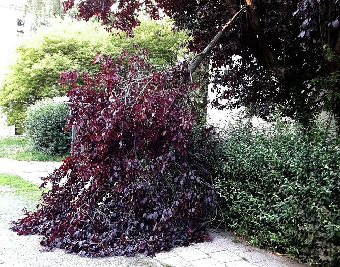 Abseits der "City" (Foto: Peter Blei)