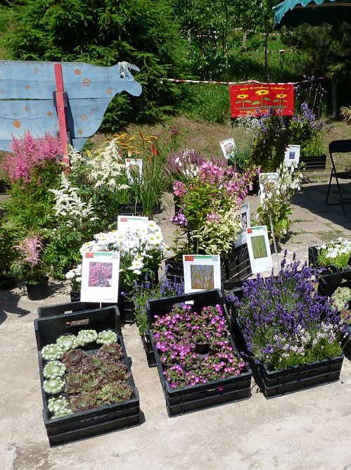 9.Kräuterfest Friedrichsrode (Foto: Kunsthof Friedrichsrode) 9.Kräuterfest Friedrichsrode (Foto: Kunsthof Friedrichsrode)