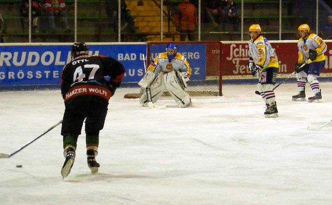 Wieder gewonnen (Foto: Koch)