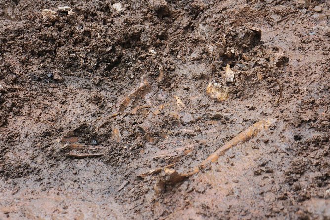 Menschliche &Uuml;berreste an Blasii-Kirche entdeckt (Foto: Angelo Glashagel)