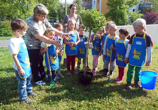 Baum gepflanzt (Foto: A. Strohbach) Baum gepflanzt (Foto: A. Strohbach)