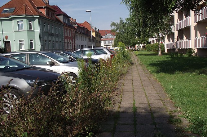 Gefahr von oben (Foto: Kurt Frank)