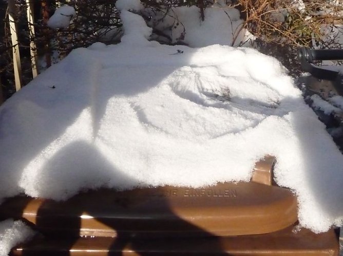 Frost in der Tonne (Foto: nnz) Frost in der Tonne (Foto: nnz)