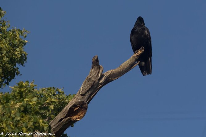 Wetter-Bild (Foto: Gernot Thelemann)