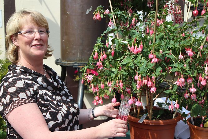 Taufe einer Fuchsie (Foto: Angelo Glashagel)