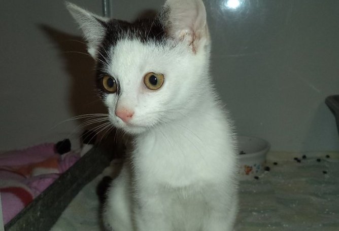 Holger (Foto: C. Knust)