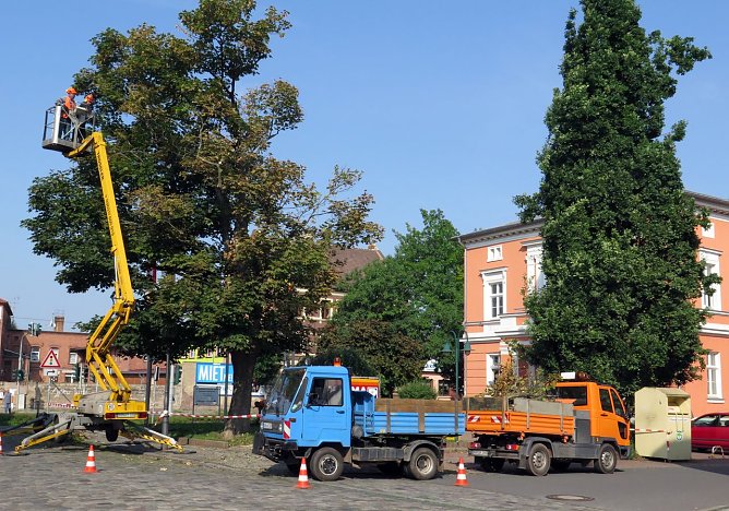 Gefahr gebannt (Foto: nnz) Gefahr gebannt (Foto: nnz)