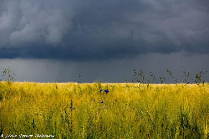 Wetter-Bild (Foto: Gernot Thelemann) Wetter-Bild (Foto: Gernot Thelemann)