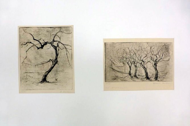 Bilder (Foto: Archiv Kneffel)