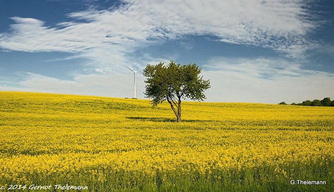Wetter-Bild (Foto: Gernot Thelemann)