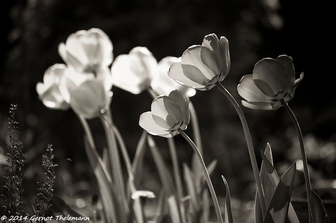 Wetterbild (Foto: Gernot Thelemann) Wetterbild (Foto: Gernot Thelemann)