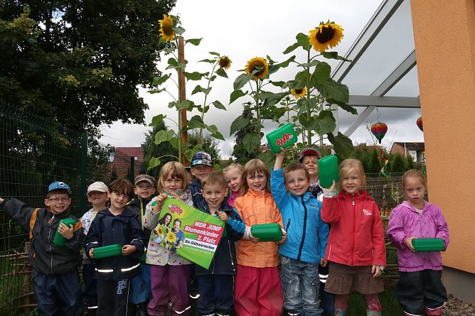 Die Glühwürmchen (Foto: MDR Jump) Die Glühwürmchen (Foto: MDR Jump)