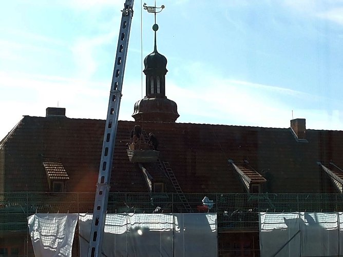 Auf dem Dach (Foto: Peter Blei)