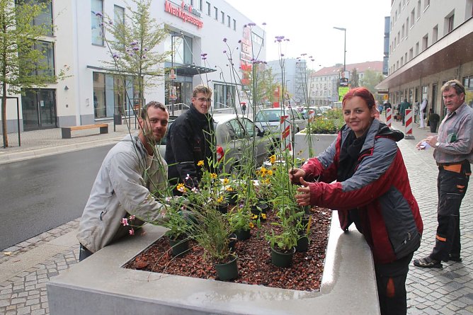 In vier Wochen müssen die fleißigen Pflanzer nochmal ran (Foto: Angelo Glashagel) In vier Wochen müssen die fleißigen Pflanzer nochmal ran (Foto: Angelo Glashagel)