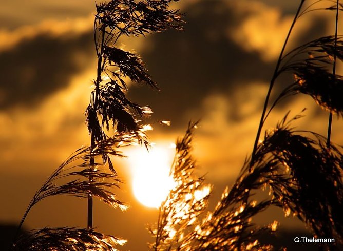 Wetter-Bild (Foto: Gernot Thelemann) Wetter-Bild (Foto: Gernot Thelemann)