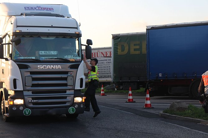 Die Kooperation verläuft meist reibungslos (Foto: Angelo Glashagel) Die Kooperation verläuft meist reibungslos (Foto: Angelo Glashagel)