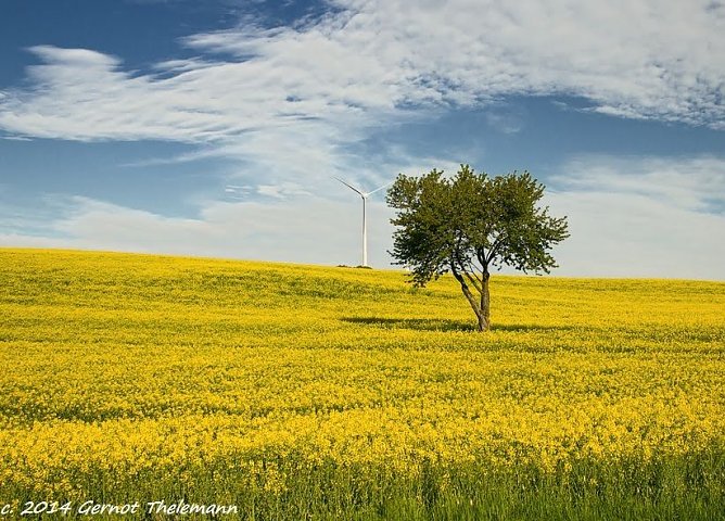 Wetter-Bild (Foto: Gernot Thelemann)