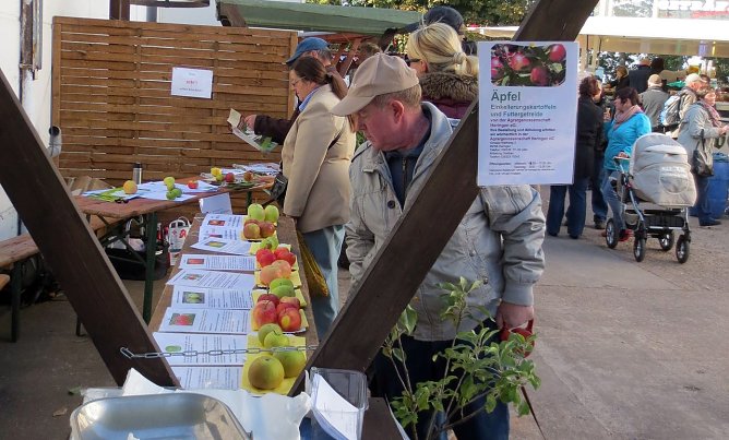Apfeltag beim Fischerfest (Foto: privat)