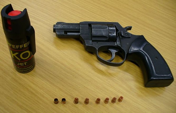 Illegal (Foto: Zoll) Illegal (Foto: Zoll)