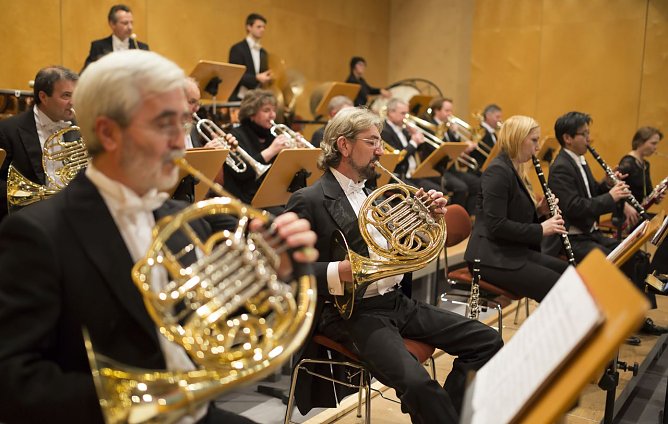 Loh (Foto: T. Graner)