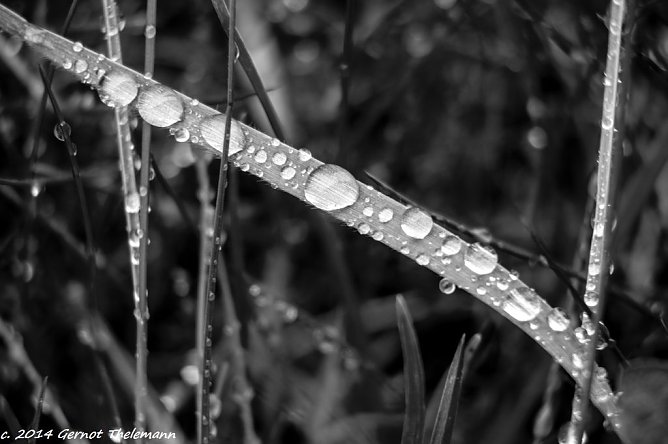Wetter-Bild (Foto: Gernot Thelemann) Wetter-Bild (Foto: Gernot Thelemann)