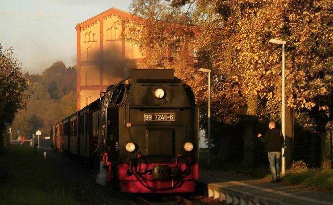 Goldener Herbst 2014 (Foto: Bernd Thielbeer)