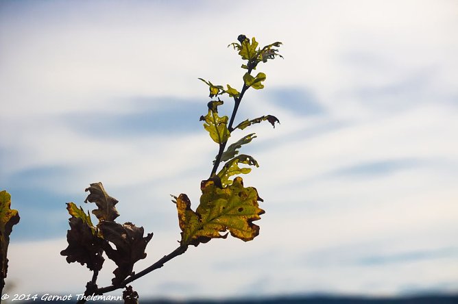 Wetterbild (Foto: Gernot Thelemann) Wetterbild (Foto: Gernot Thelemann)