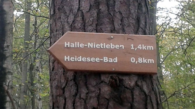 100 Kilometer "am St&uuml;ck" (Foto: privat)