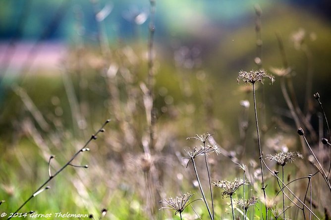 Wetter-Bild (Foto: Gernot Thelemann)