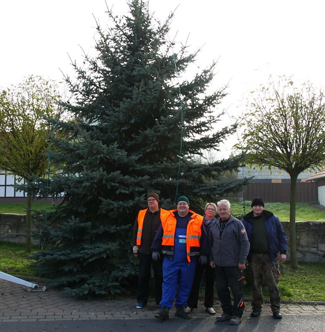 Weihnachtsbaum in Obergebra aufgestellt (Foto: M. Randel) Weihnachtsbaum in Obergebra aufgestellt (Foto: M. Randel)