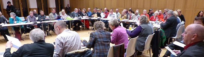 Blick in den Stadtrat und auf die G&auml;ste (Foto: nnz)