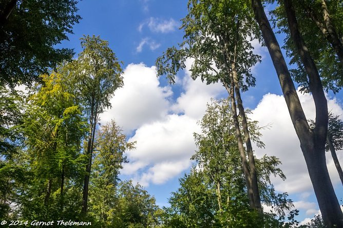 Wetterbild (Foto: Gernot Thelemann)