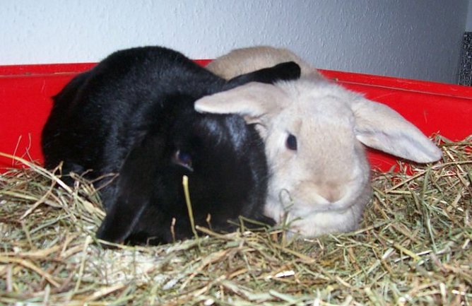 Ausgesetzt (Foto: Knust)