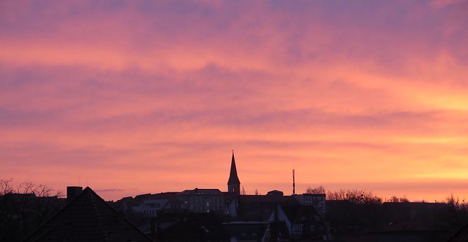 Aufgegangen (Foto: Kaschube)