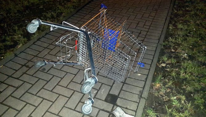 Einkaufswagen (Foto: Peter Blei)