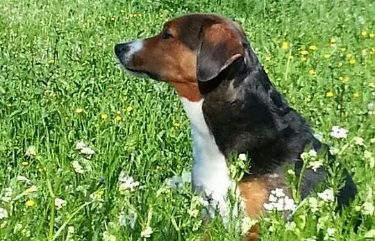 Sally (Foto: privat)