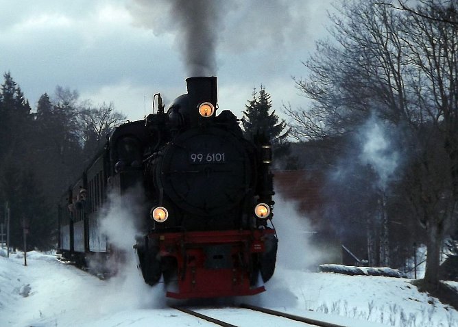 Mit Fifi auf den Brocken (Foto: Schwarzbach)