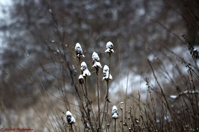Wetter-Bild (Foto: Gernot Thelemann)