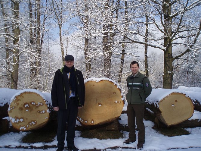 Eine Prachteiche aus dem Stadtwald Sondershausen, war in Egstedt gut pr&auml;sentiert. Der Hauptamtsleiter Herr Schard von der Stadt und der zust&auml;ndige Revierleiter Marcel Raube, freuen sich &uuml;ber die gelungene Verkaufsaktion.  (Foto: Klaus-Wilhelm Br&uuml;ggemann)