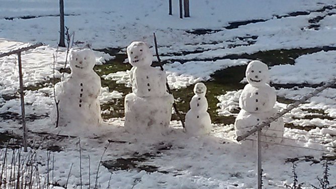 Schneemann-Familie (Foto: privat)